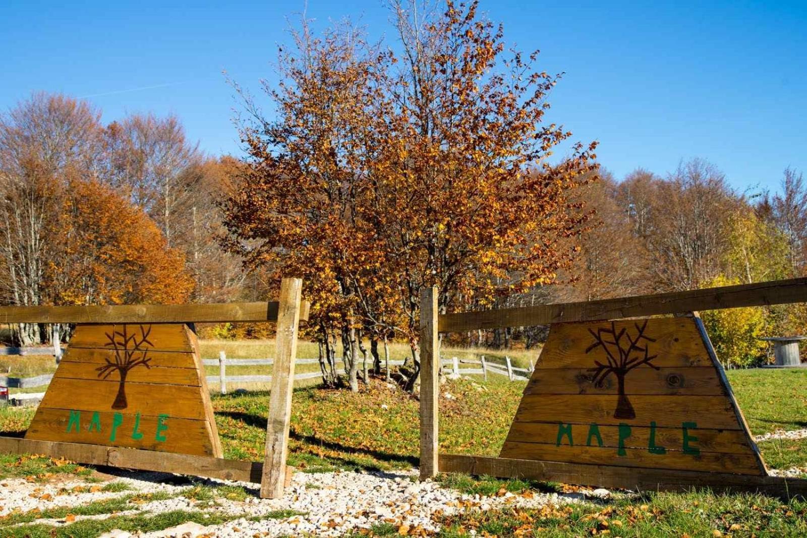 Maple Bungalows Žabljak Exteriör bild