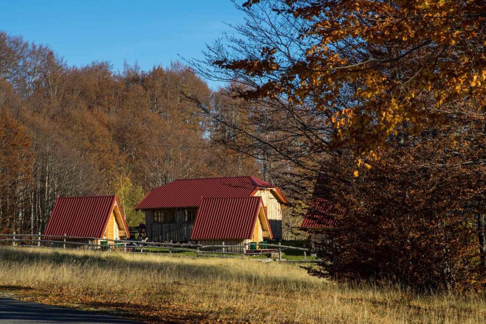 Maple Bungalows Žabljak Exteriör bild